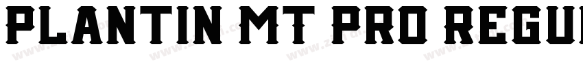 Plantin MT Pro Regul字体转换